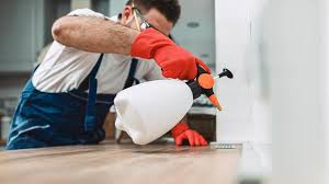 Best Pest Control for Multi-Family Homes  in Prospect, OH